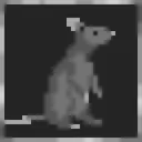 We Have Rats! achievement icon in Probably Stolen